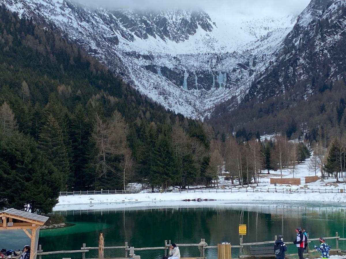 Finestra Sull'Adamello Lejlighed Passo del Tonale Eksteriør billede